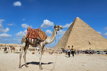Pyramids of Egypt Direct Nile Cruise Egypt